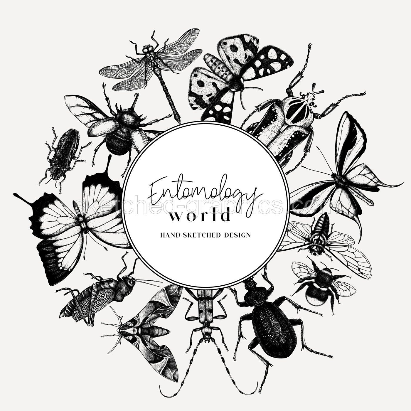 Hand-sketched insect wreath template. Hand drawn beetles, bugs, butterflies, dragonfly, cicada, moths, bee illustrations in vintage style. Entomological frame vector  design. Illustration